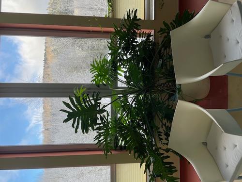 Gönnen Sie sich eine Romantische Auszeit im März